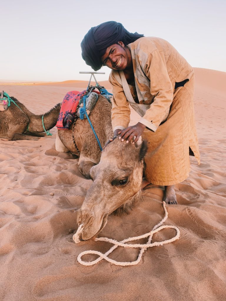 dromadaire bedouin maroc